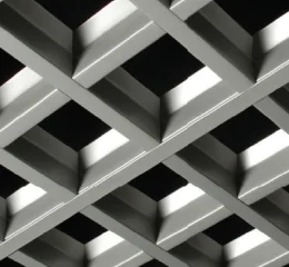 Forro Colmeia Belize